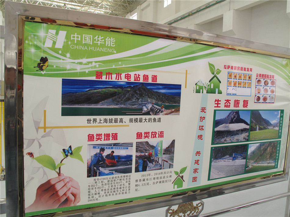 【微观山南】世界海拔最高鱼道确保雅鲁藏布江鱼洄游和生态安全_西藏自治区文化和旅游厅